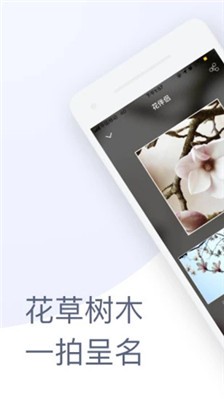 植物伴侣截图1