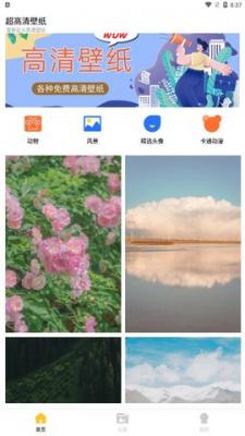 壁纸盒子纯净版app截图3