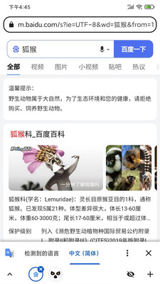 狐猴浏览器官网版截图1