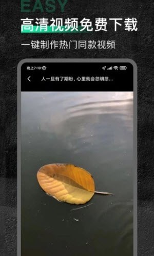 今日素材app截图2