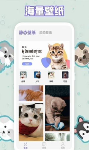 多多养猫助手app截图1