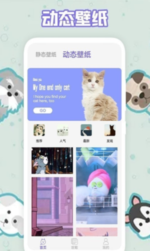 多多养猫助手app截图2