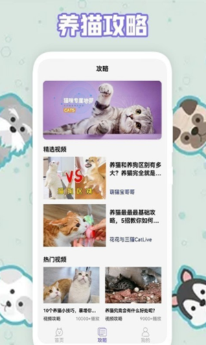 多多养猫助手app截图3