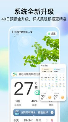 竹雨天气预报截图3