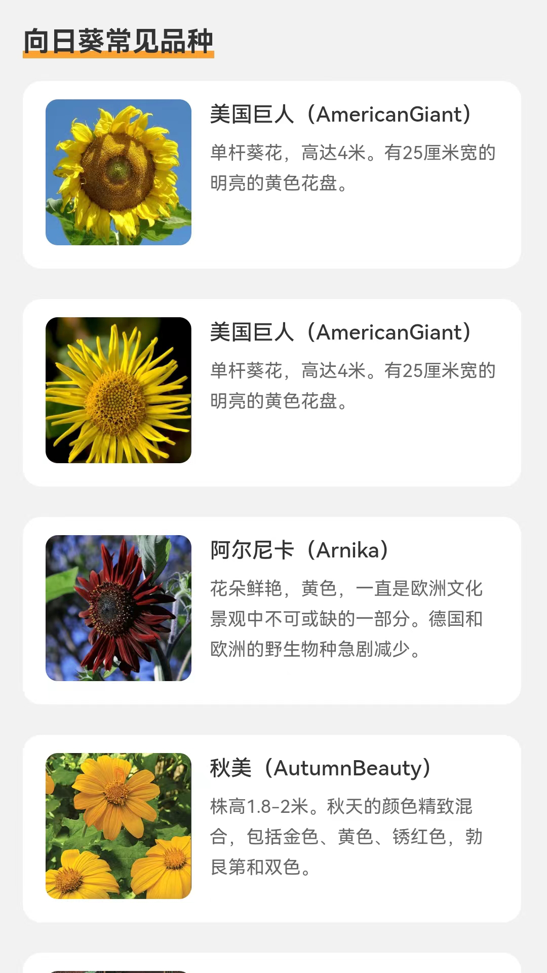 向阳流量app截图1