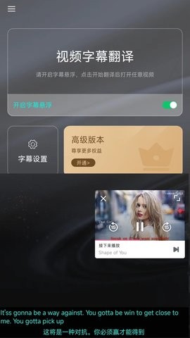 实时字幕翻译软件截图3