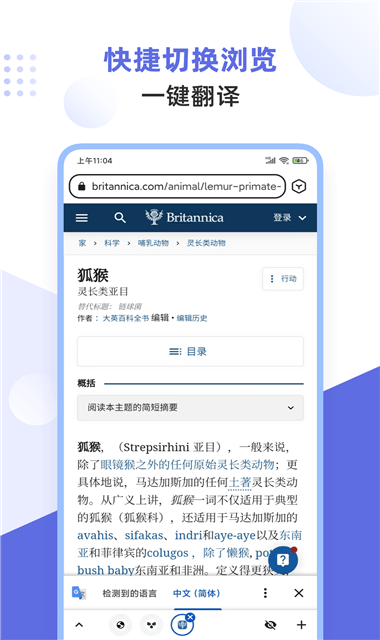 狐猴浏览器app截图3