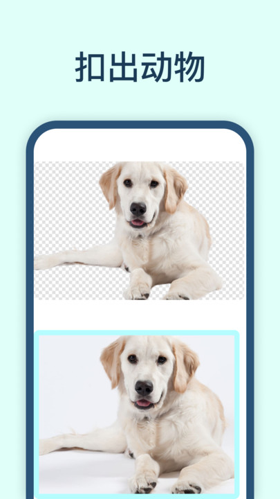 迅捷抠图app截图2