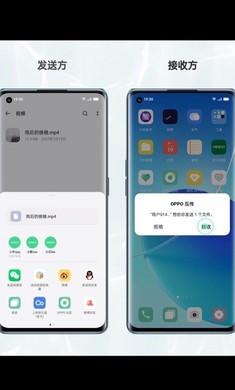 oppo互传软件截图1