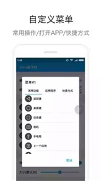 zone悬浮球pro截图3