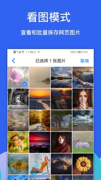 alook浏览器6.3截图2