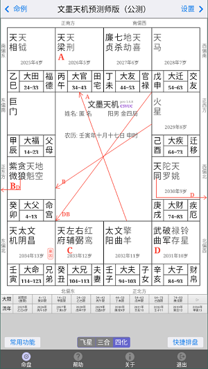 文墨天机专业版排盘截图1