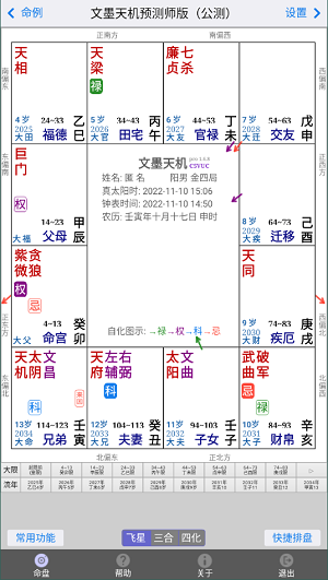 文墨天机专业版排盘截图3