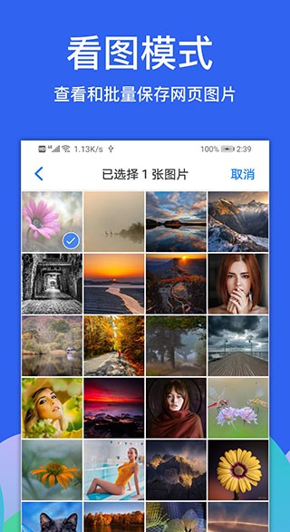 alook浏览器3.7版本截图2