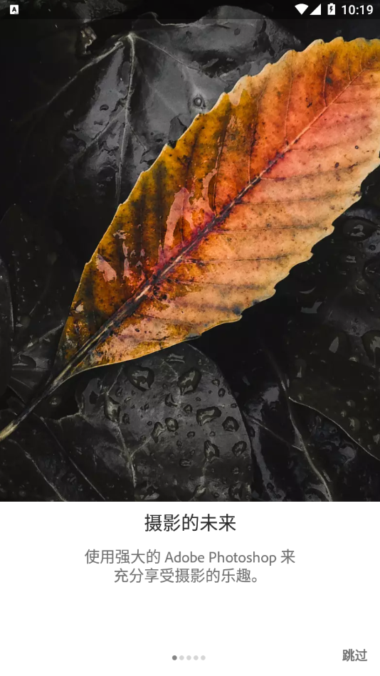 lightroom正版软件截图2