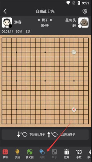 星阵围棋免费版使用方法截图6