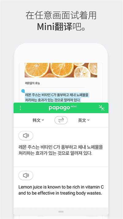 papago翻译器安装包截图1