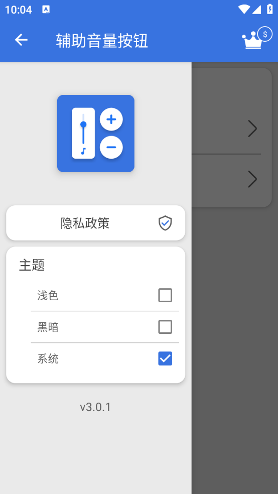 辅助音量按钮app截图1