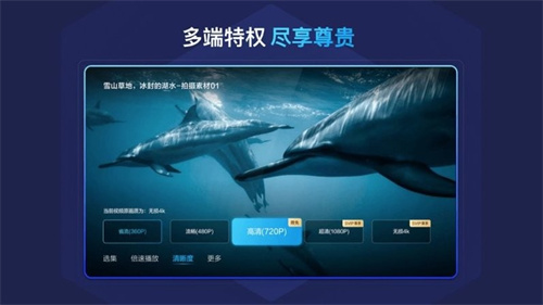 百度网盘tv版正式版截图1