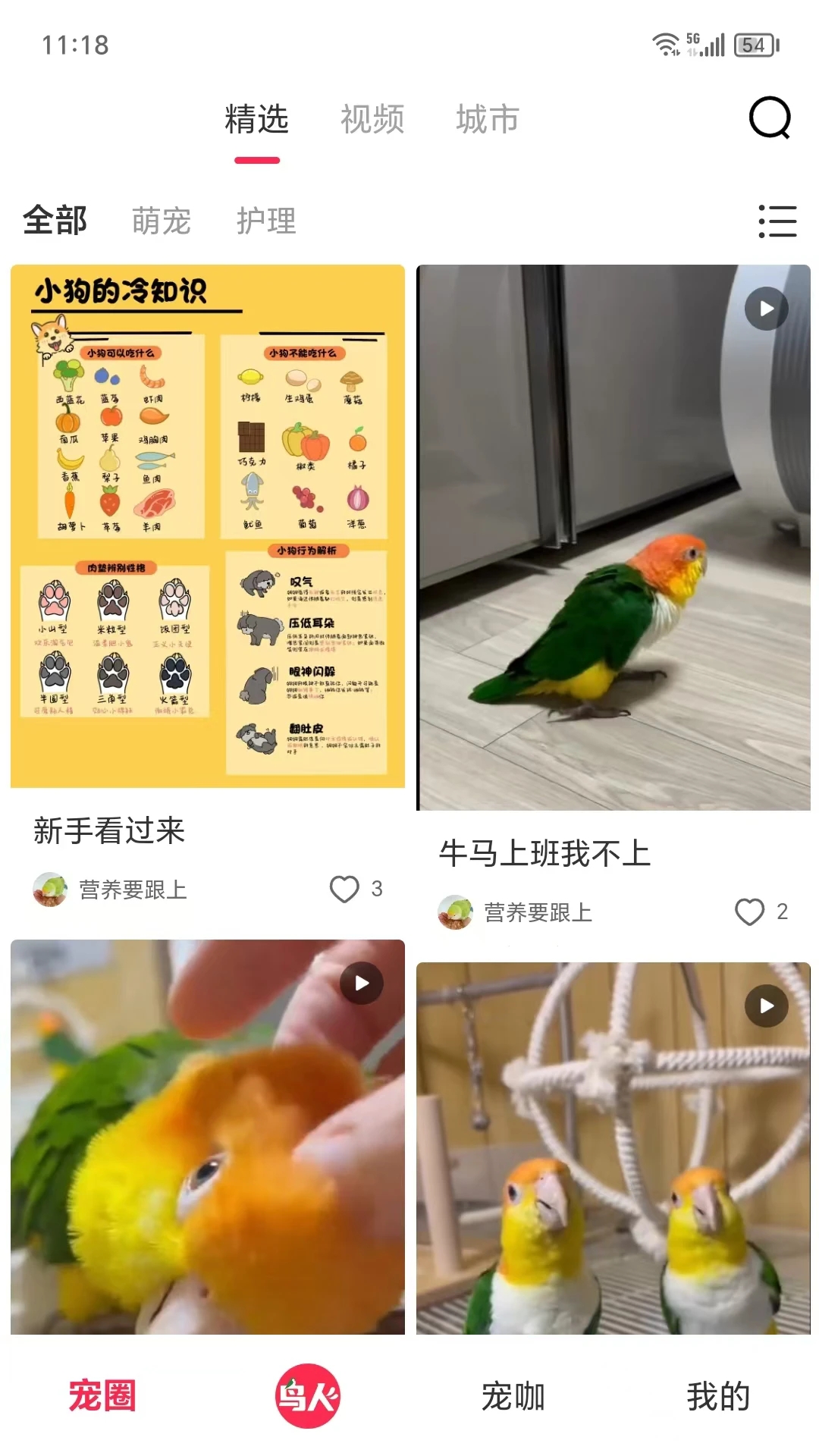 爱鸟仁app截图3