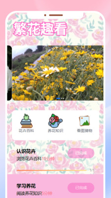 繁花看看app