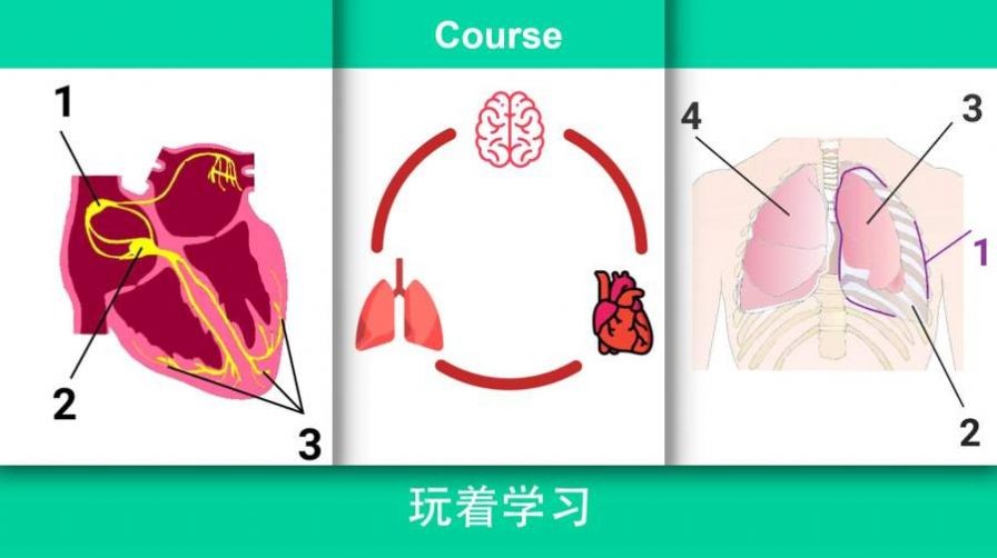 现实医疗模拟器截图1