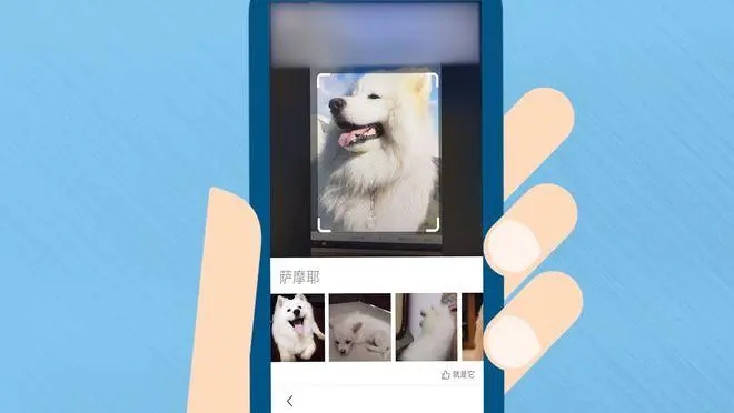 搜图app