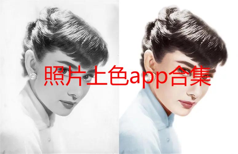 照片上色app合集