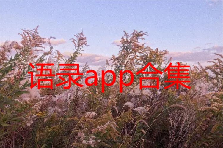 语录app合集