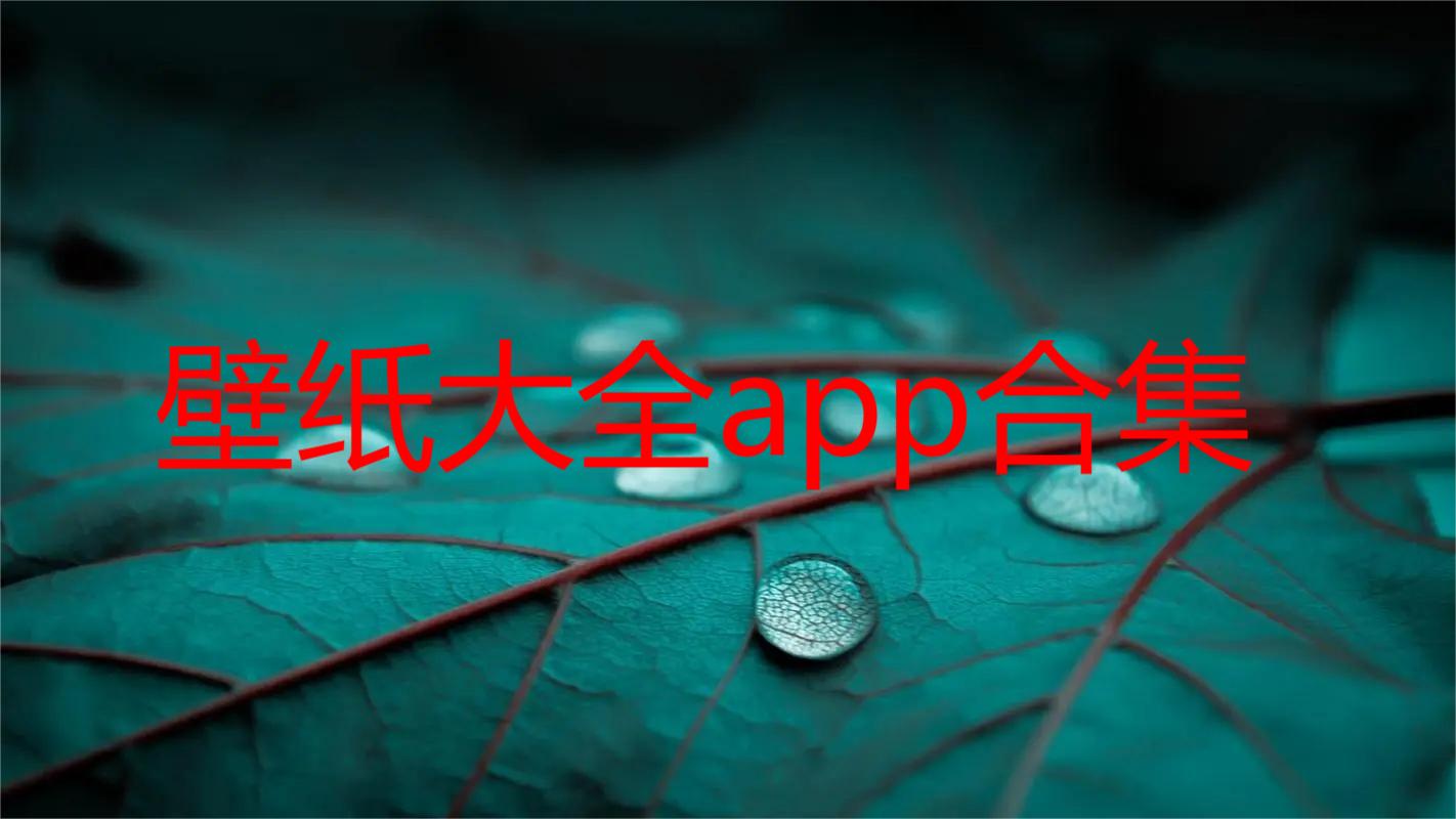 壁纸大全app合集