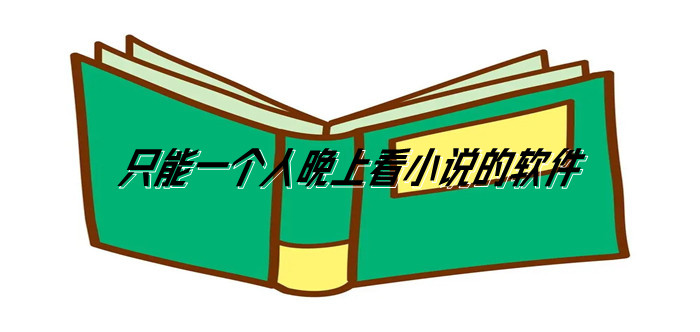 只能一个人晚上看小说的软件